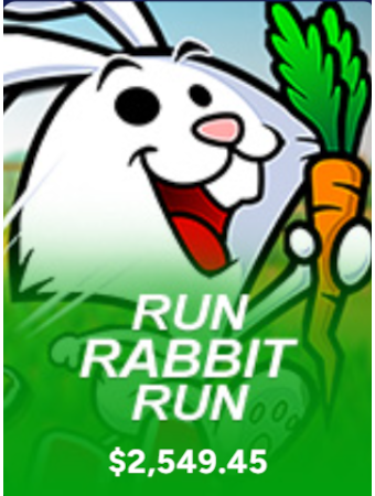 Run Rabbit Run Sunny Spins Avatar